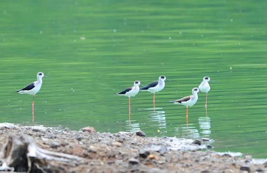 Lonar Wildlife Sanctuary